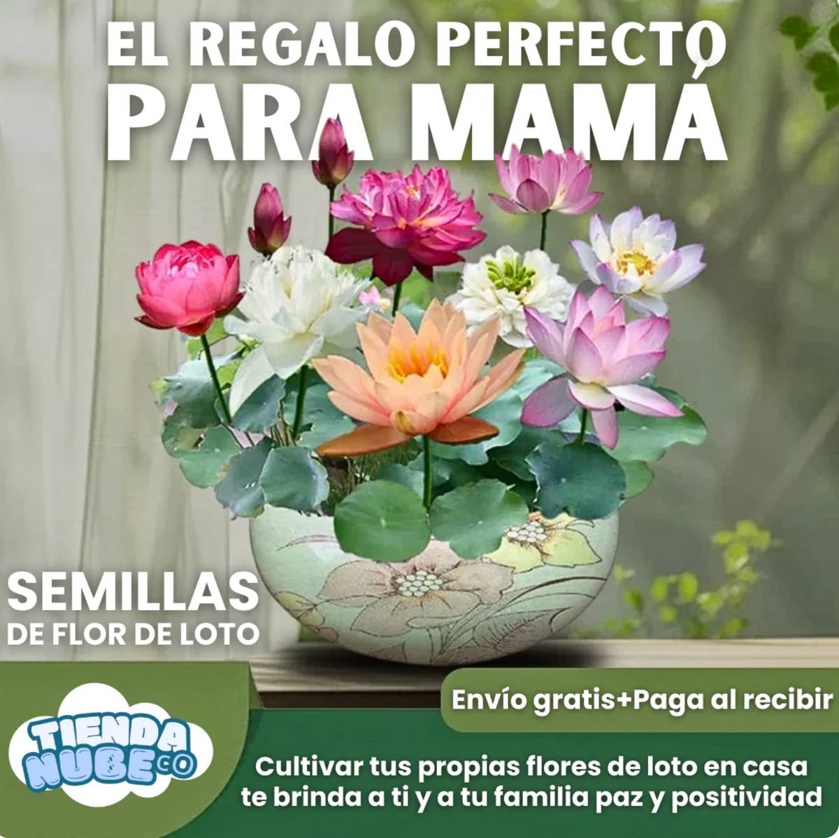 Semillas Mixtas de Rosasy amapolas Trepadoras X 250 Semillas