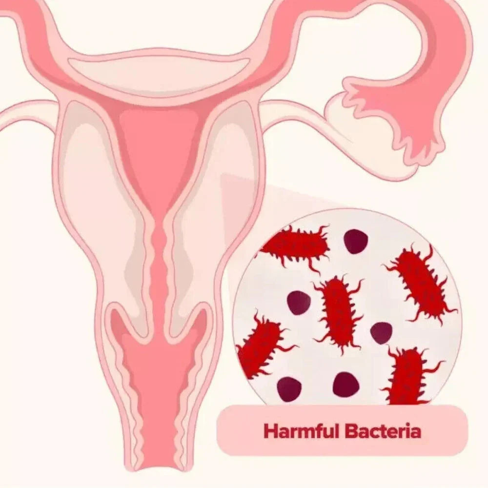 URO™ - Probióticos vaginales Promocion 2x1 POR ESTE MES 🎁